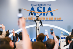 区域都正在摸索相关监管取尺度 